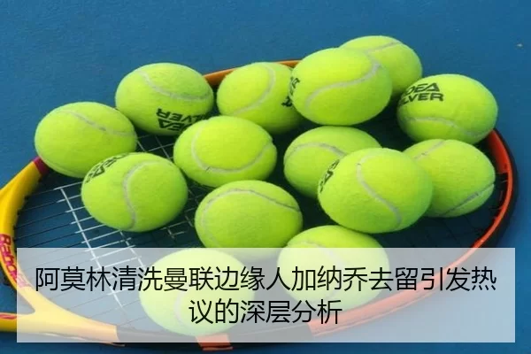 阿莫林清洗曼联边缘人加纳乔去留引发热议的深层分析