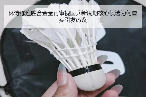 林诗栋连胜含金量再审视国乒新周期核心候选为何冒头引发热议